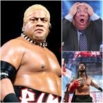 THE TRIBAL CHIEF ROMAN REIGNS SHOCKS WWE UNIVERSE BY ANNOUNCING RIKISHI AS NEW WISEMAN